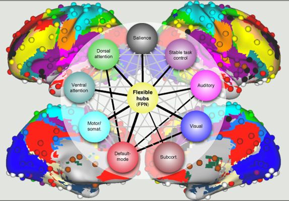 Brain-networks