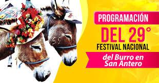 Festiwal osły