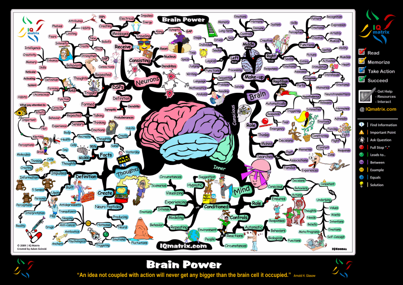brain power mind map