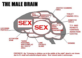 Mózg męski
