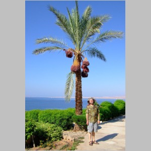 Sharm-036.jpg