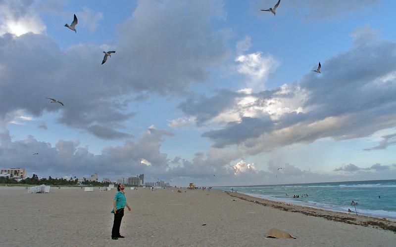 Miami-12.jpg - OLYMPUS DIGITAL CAMERA